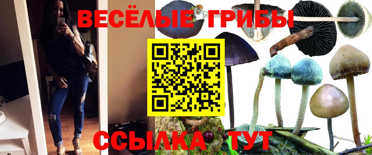Галлюциногенные грибы Magic Shrooms Благовещенск