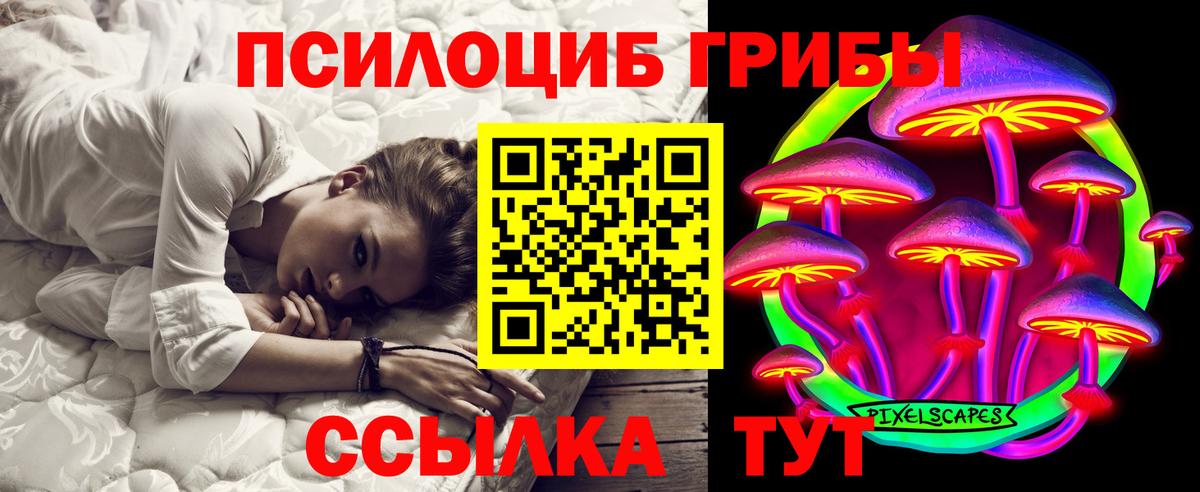 Благовещенск  Псилоцибиновые грибы Psilocybe  Вход с VPN 